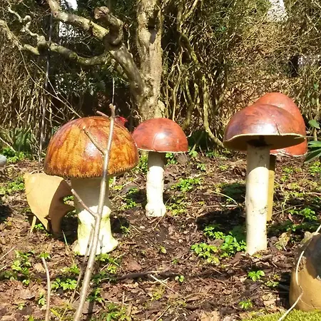 Appartement Ellenbach - Fachwerkromantik An Der Fulda, Gemuetliche Im Denkmal